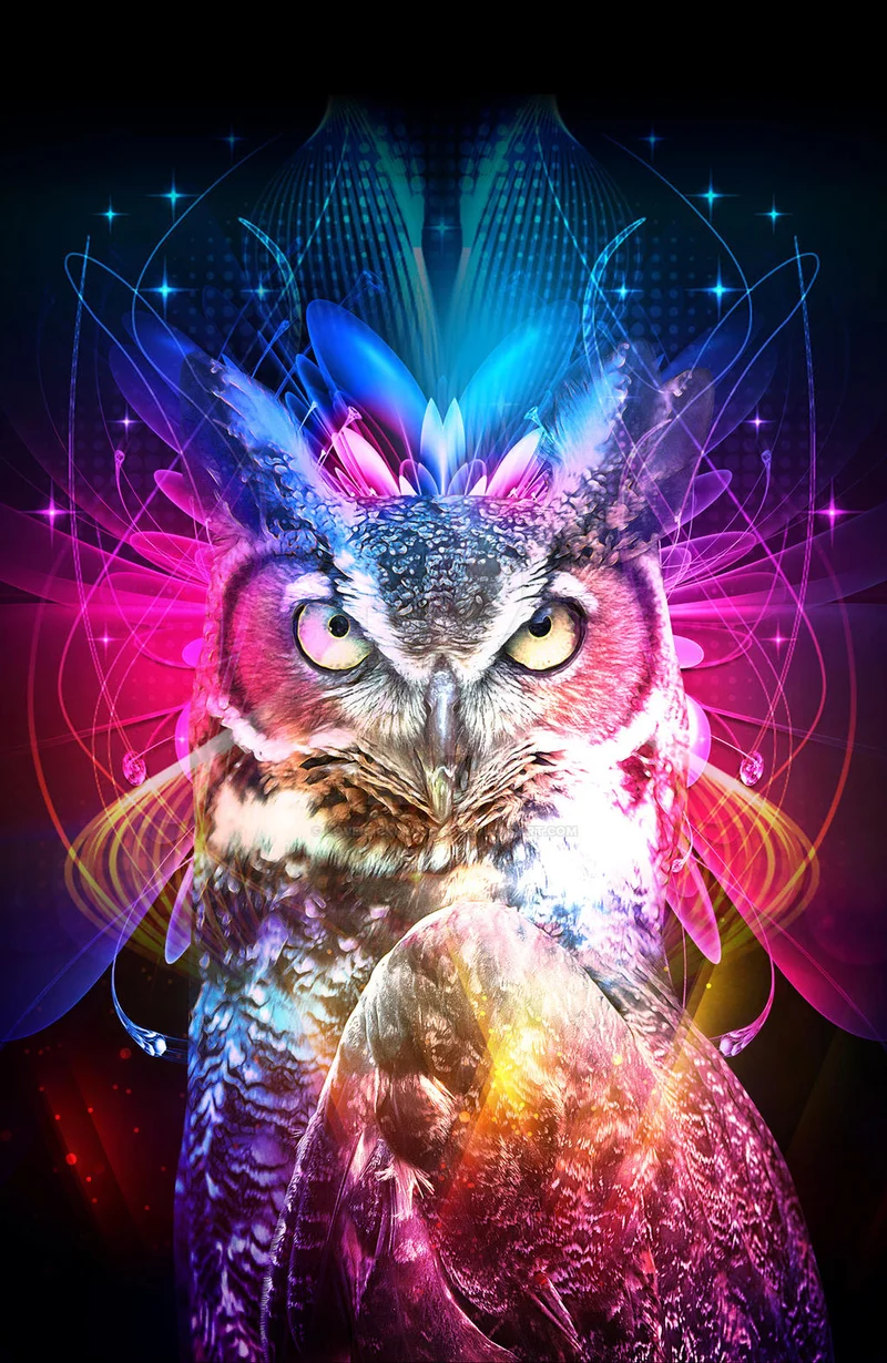 Blue Owl's Credit Fund Merger: What Happened and Why It Rattled the Market